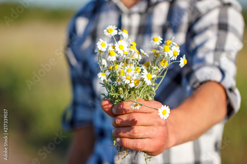 man's hand holding a bouquet of daisies, the concept of relationship and love