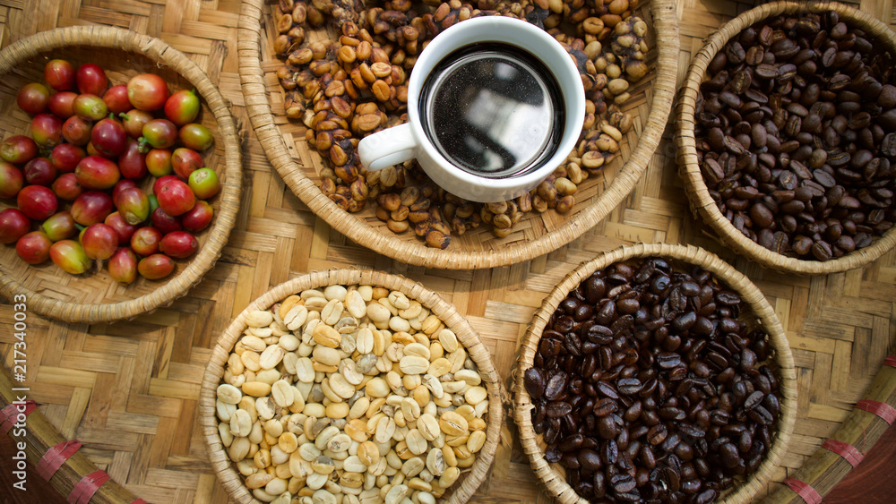Kopi luwak or civet coffee, Coffee beans excreted by the civet. Kopi luwak or civet coffee, Coffee beans excreted by the civet.