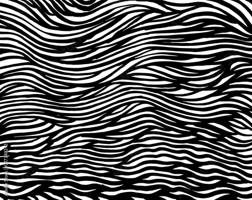 White and black grunge pattern. Background. Brush. Vector. © Марианна Барышникова