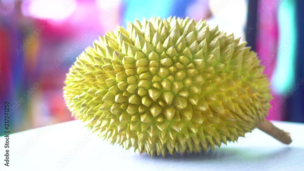 The exotic fruit that grows in Malaysia, Thailand, called Durian king of fruit, beautiful green spikey shell, yellow fruit. Exotic smell wonderful taste not for everybody though The exotic fruit that grows in Malaysia, Thailand, called Durian king of fruit, beautiful green spikey shell, yellow fruit. Exotic smell wonderful taste not for everybody though