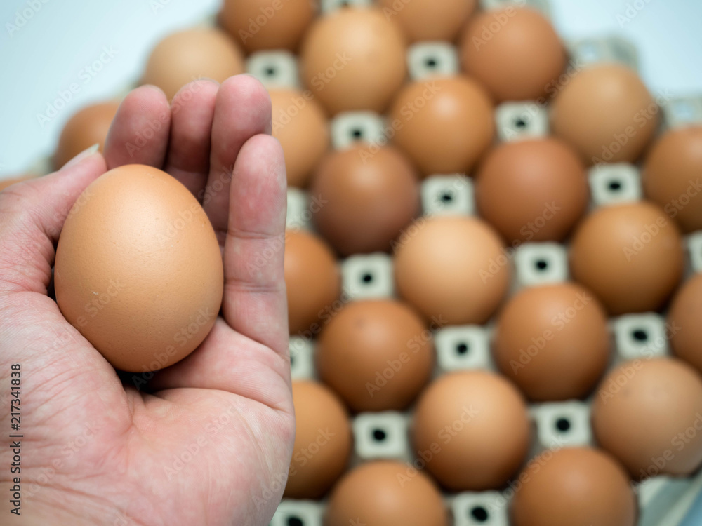 Hand holding an egg from paper pack, isolated on white background. Hand holding an egg from paper pack, isolated on white background.