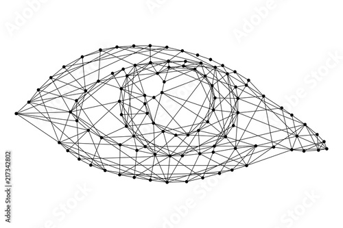 Open female eye of monochrome vector illustration from futuristic polygonal black lines and dots. Vector illustration.