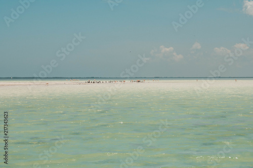 Beach and sea photo