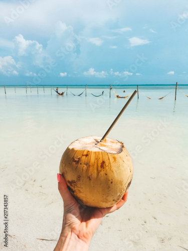 Coconut and beach Isla Holbox Mexico