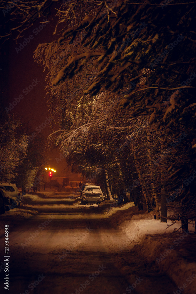 winter winter
