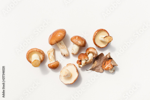 Fresh boletus mushrooms on white background