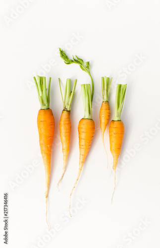 Young washed carrots with tails on white background