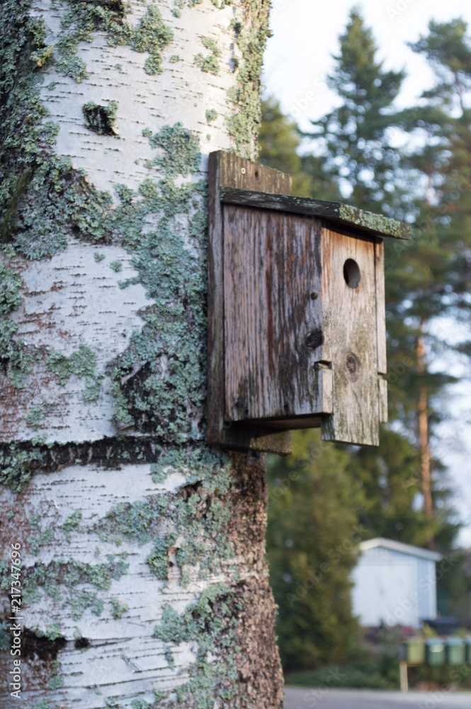 Birdhouse in Finland