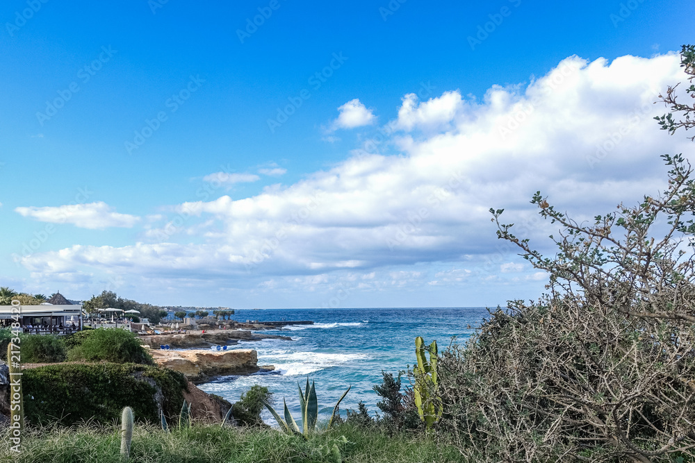 beautiful Mediterranean rocky coastline with blue sea, blue sky with white clouds; Cactus and bushes with thorns are visible at the forefront
