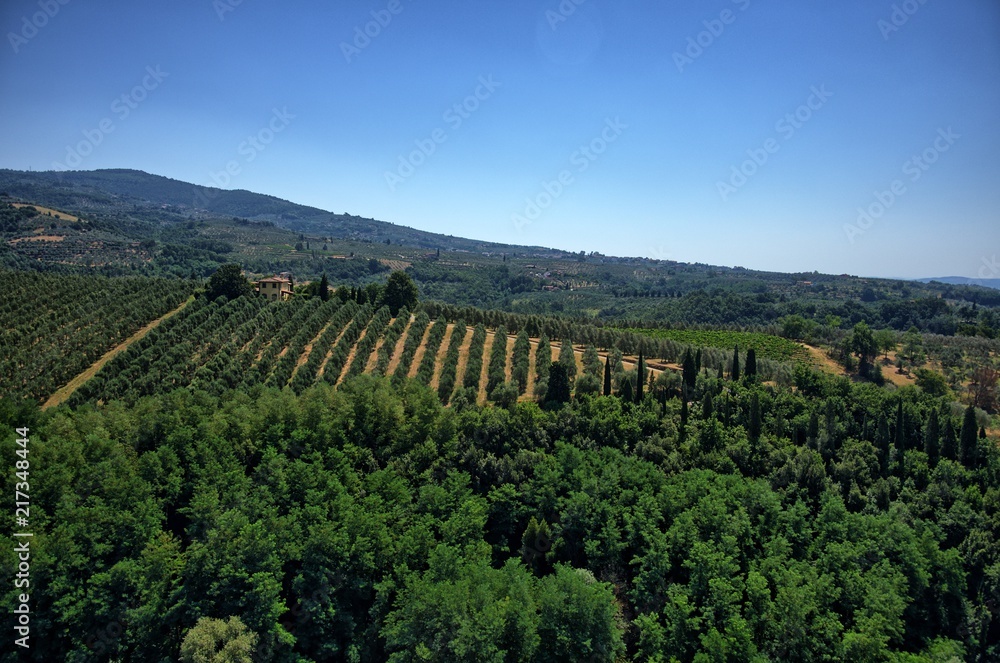 italian landscape with trees