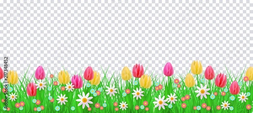 Green meadow grass, tulip daisy flowers border frame, template on transparent background. Spring summer sale template for retail poster and advertising design wtih text space. Vector illustration