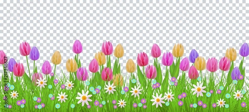 Green meadow grass, tulip daisy flowers border frame, template on transparent background. Spring summer sale template for retail poster and advertising design wtih text space. Vector illustration