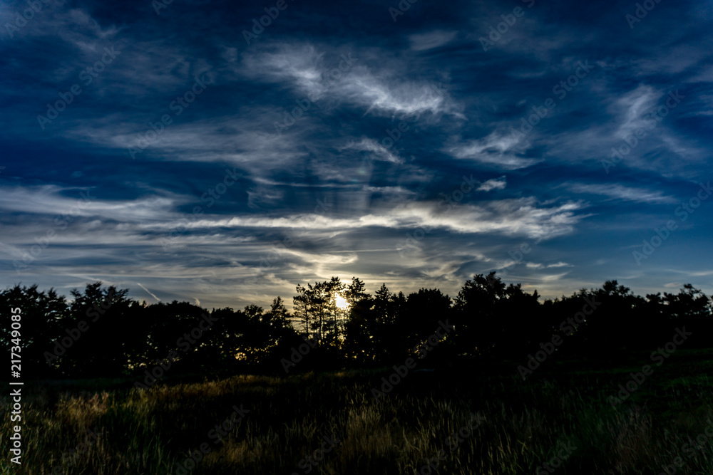 Brooding sky behind a row of dark trees.