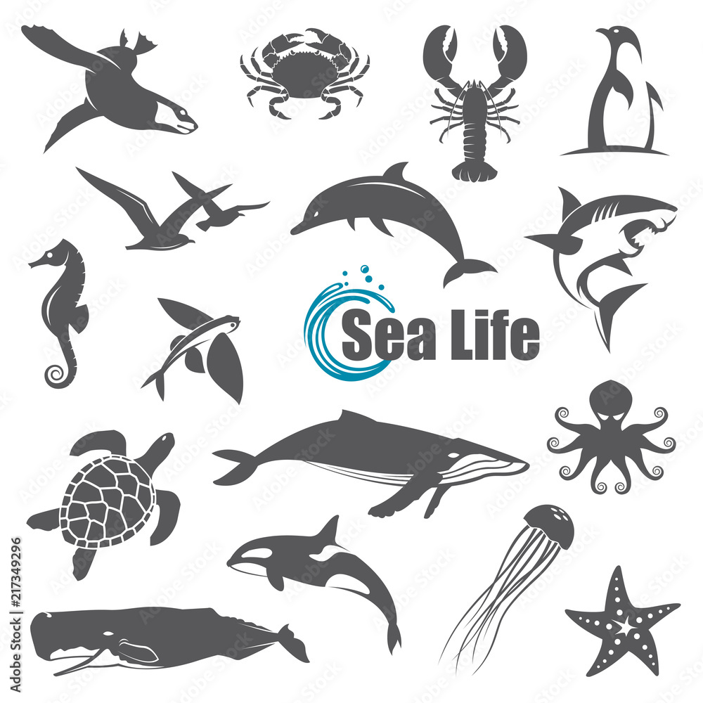 Fototapeta premium collection of black sea animals isolated on white background