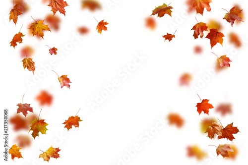border frame of colorful autumn leaves isolated on white