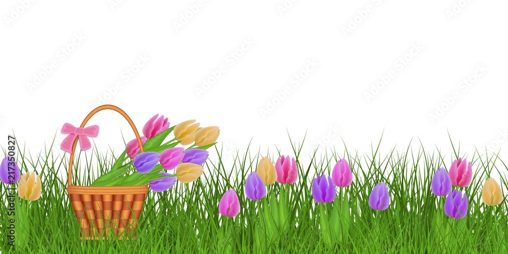 Spring floral border with colorful tulips on fresh green grass and bouquet  of flowers in wicker basket isolated on white background - vector  illustration of decorative seasonal frame. Stock Vector | Adobe Stock