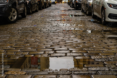 Cobblestone Street in New York