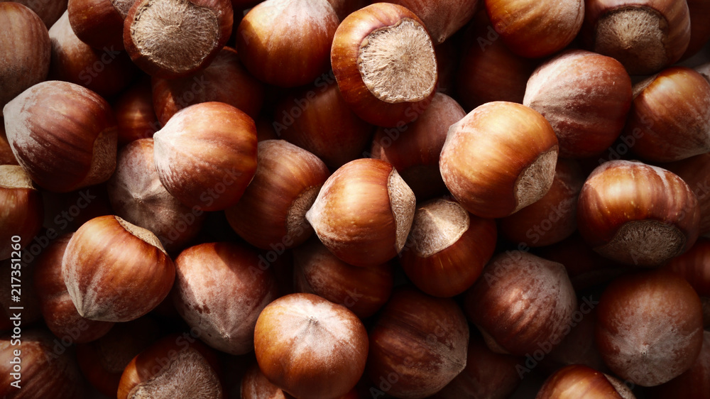 Dry brown hazel nuts background pattern. Texture. Dry brown hazel nuts background pattern. Texture.