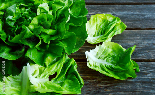 colorful and fresh of Butterhead lettuce with shadow on wooden background.
Green salad for healthy.