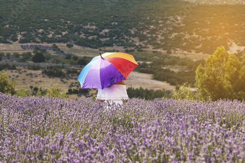 Aromatic lavender field with girl and umbrella in Isparta  Turkey. 