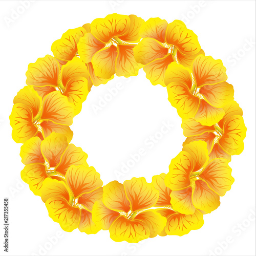 Bright Nasturtium wreath. Wild Yellow flowers. Beautiful Floral circle isolated on white background. Vector illustration.Card template for greeting, invitation and other design. Decorative round frame