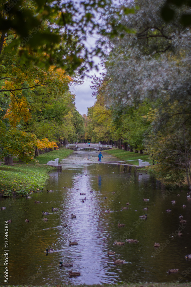 Fototapeta premium Yellow autumn tree with water