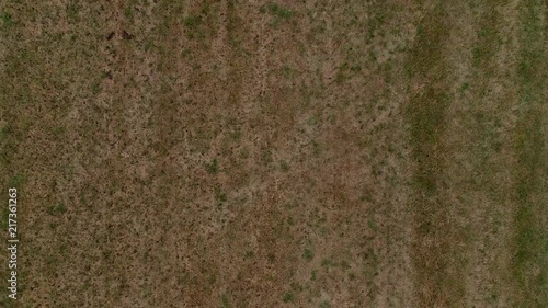 Wallpaper Mural Aerial View. Rural Field Shot From Straight Above In The English Countryside. Torontodigital.ca