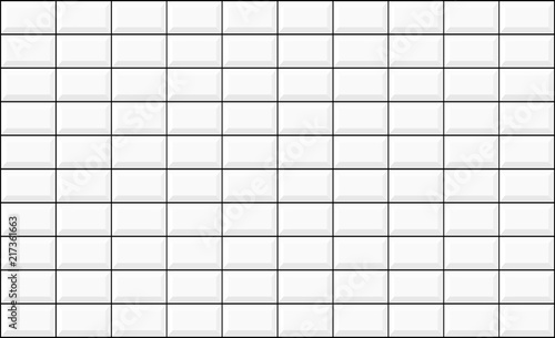 White rectangle wall patterns. With black tiles grout.