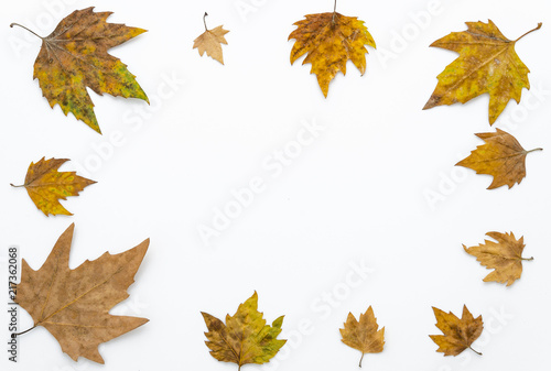 Autumn leaves frame isolated on white background  copy space. Flat lay  top view.