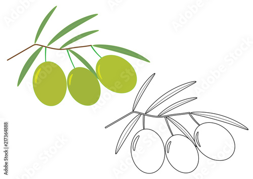 Olives, coloring page. Vector illustration.