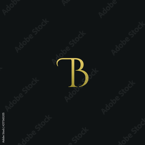 Unique modern elegant TB black and gold color initial based letter icon logo