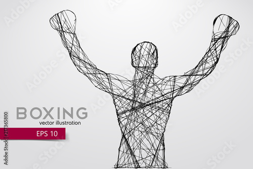 Boxing silhouette. Boxing. Vector illustration