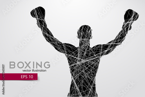 Boxing silhouette. Boxing. Vector illustration