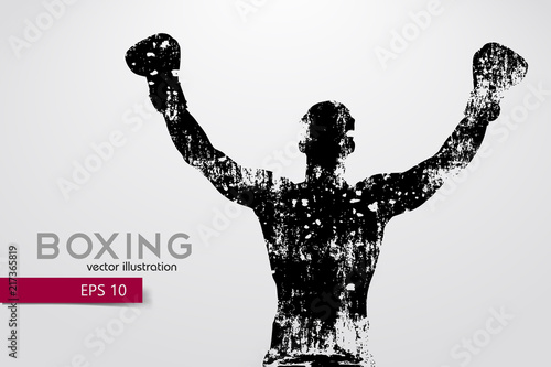 Boxing silhouette. Boxing. Vector illustration photo
