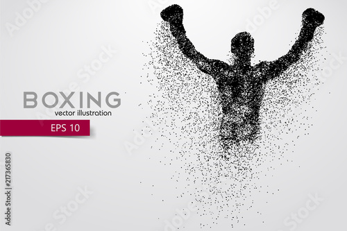Boxing silhouette. Boxing. Vector illustration