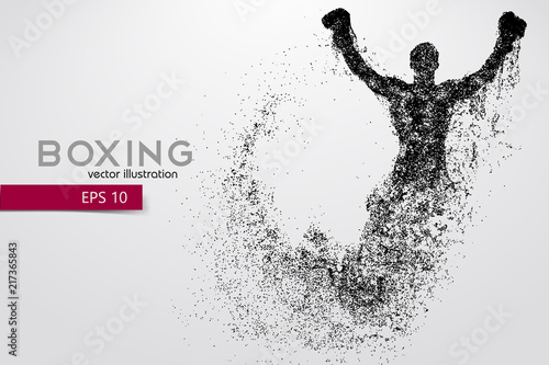 Boxing silhouette. Boxing. Vector illustration