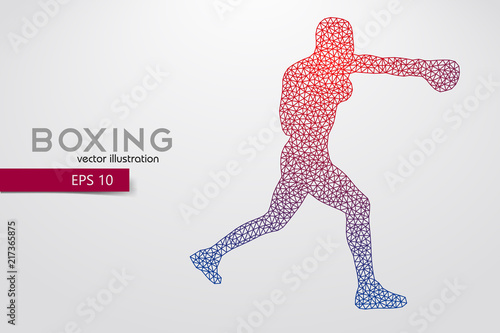 Boxing silhouette. Boxing. Vector illustration