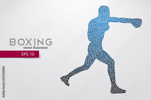 Boxing silhouette. Boxing. Vector illustration