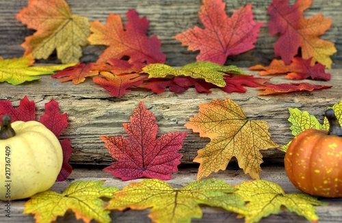 Autumn background concept- close-up colorful leaves on the background of old brown boards.