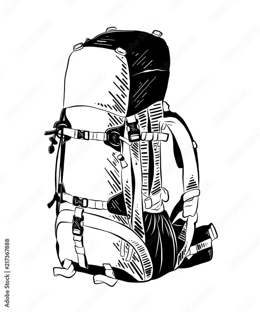 Vector engraved style illustration for posters, decoration and print ...