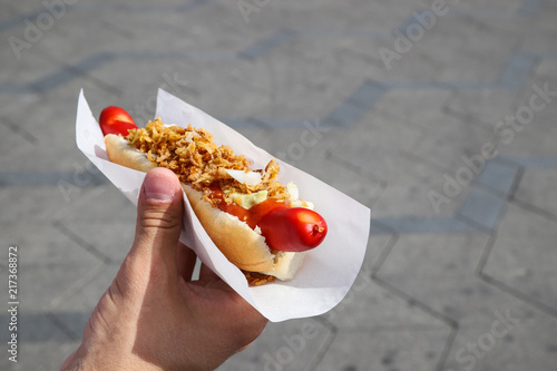 Hand holding danish hotdog