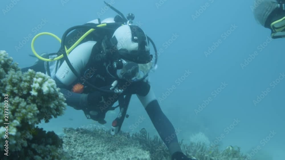 An underwater shot of divers researching on coral reefs. An underwater shot of divers researching on coral reefs.