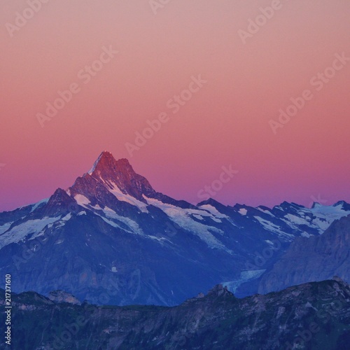 Mount Schreckhorn at sunrise. View from Mount Niederhorn. Mountain in the Bernese Oberland, Switzerland.