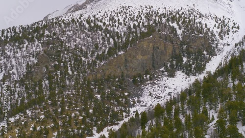 High quality aerial footage of snowy mountains, trees, camera panning upwards. photo