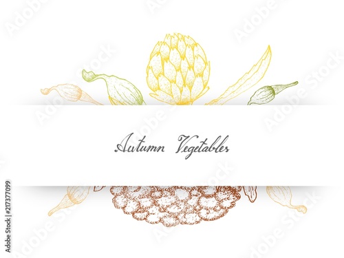 Hand Drawn Autumn Vegetables of Artichoke, Cauliflower and Squash Blossoms