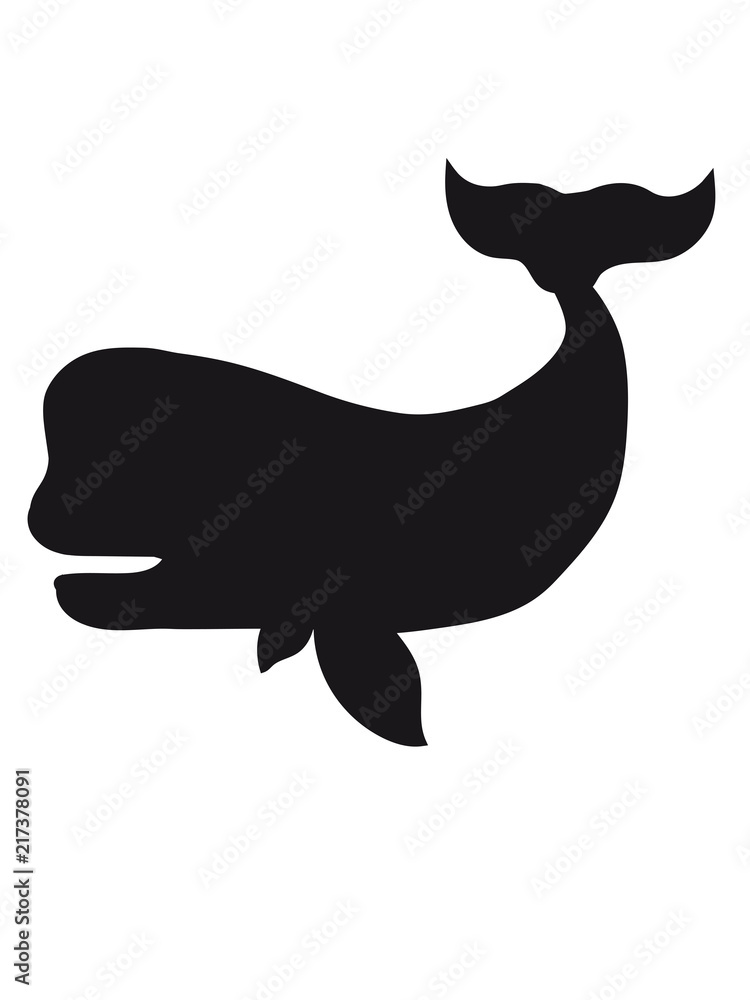 silhouette umriss schwarz schatten grauwal blauwal pottwal buckelwal