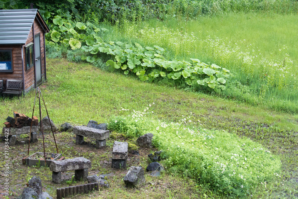 Obraz premium キャンプ場