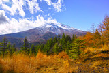 紅葉シーズンの富士山

