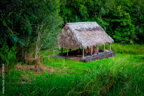 Hawaii Thatched Roof © Scott Bufkin