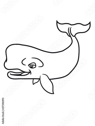 grauwal blauwal pottwal buckelwal wal meeressäuger groß riesig fisch schwimmen meer see tauchen